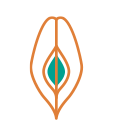 Vector Image