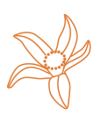 Vector Image